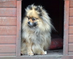 mici20240210a