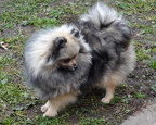 sweetiepie8m02